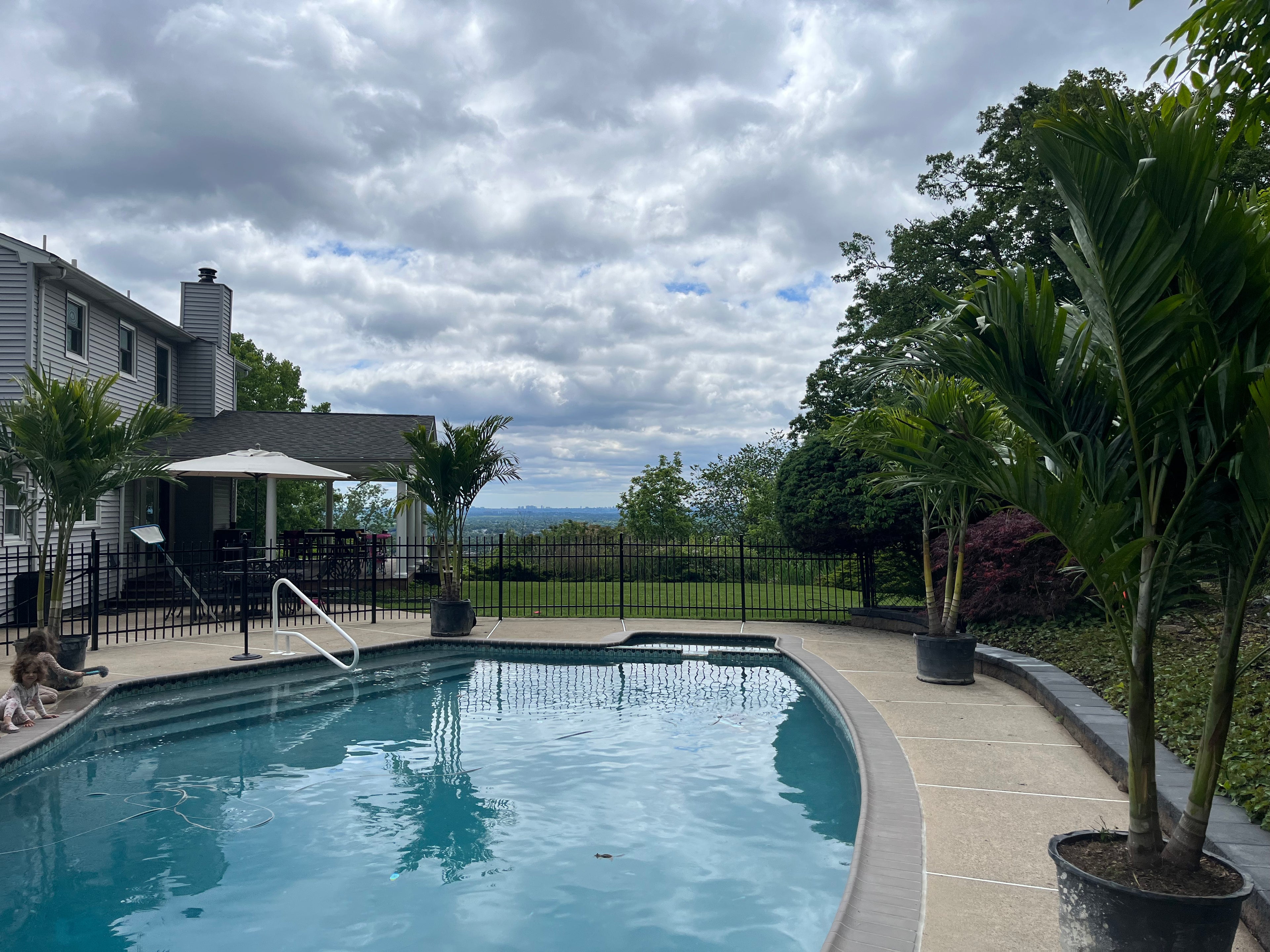 Tropical palm trees arranged around a backyard pool overlooking scenic views – Suffolk Palms delivery and setup.