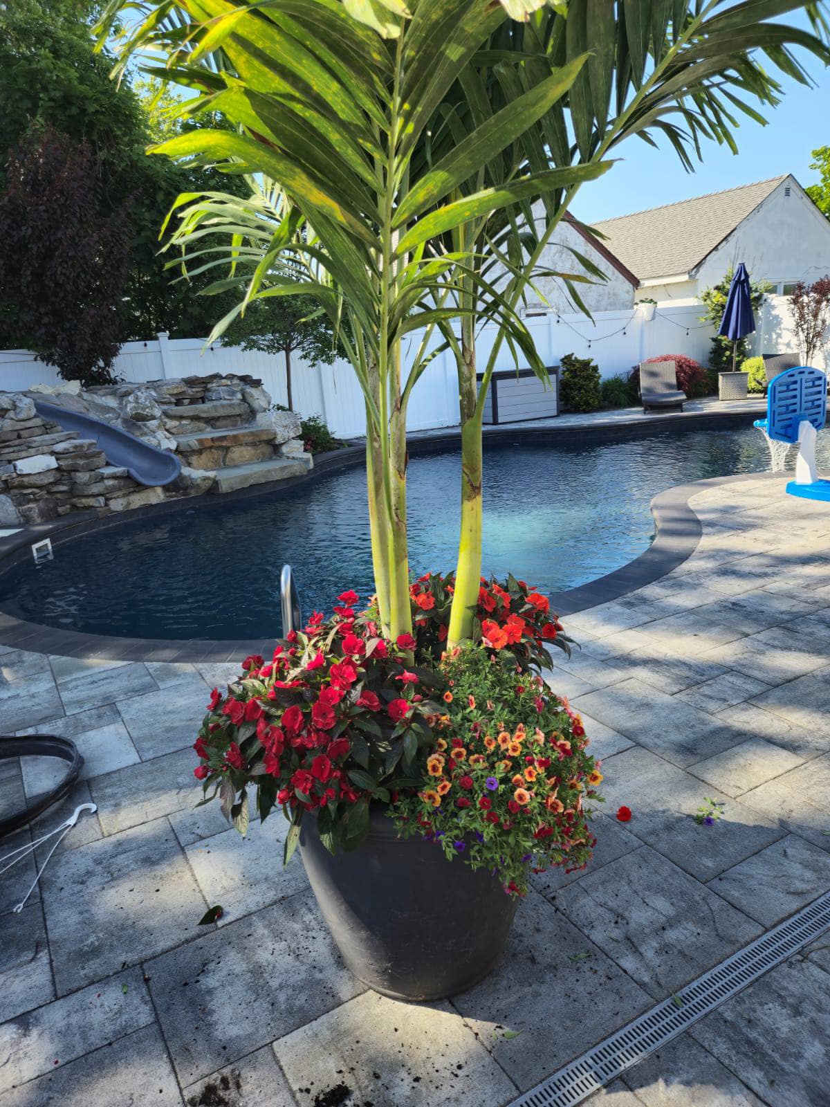 Potted palm tree with vibrant flowers beside a backyard pool in the Poconos – tropical landscaping by Suffolk Palms.